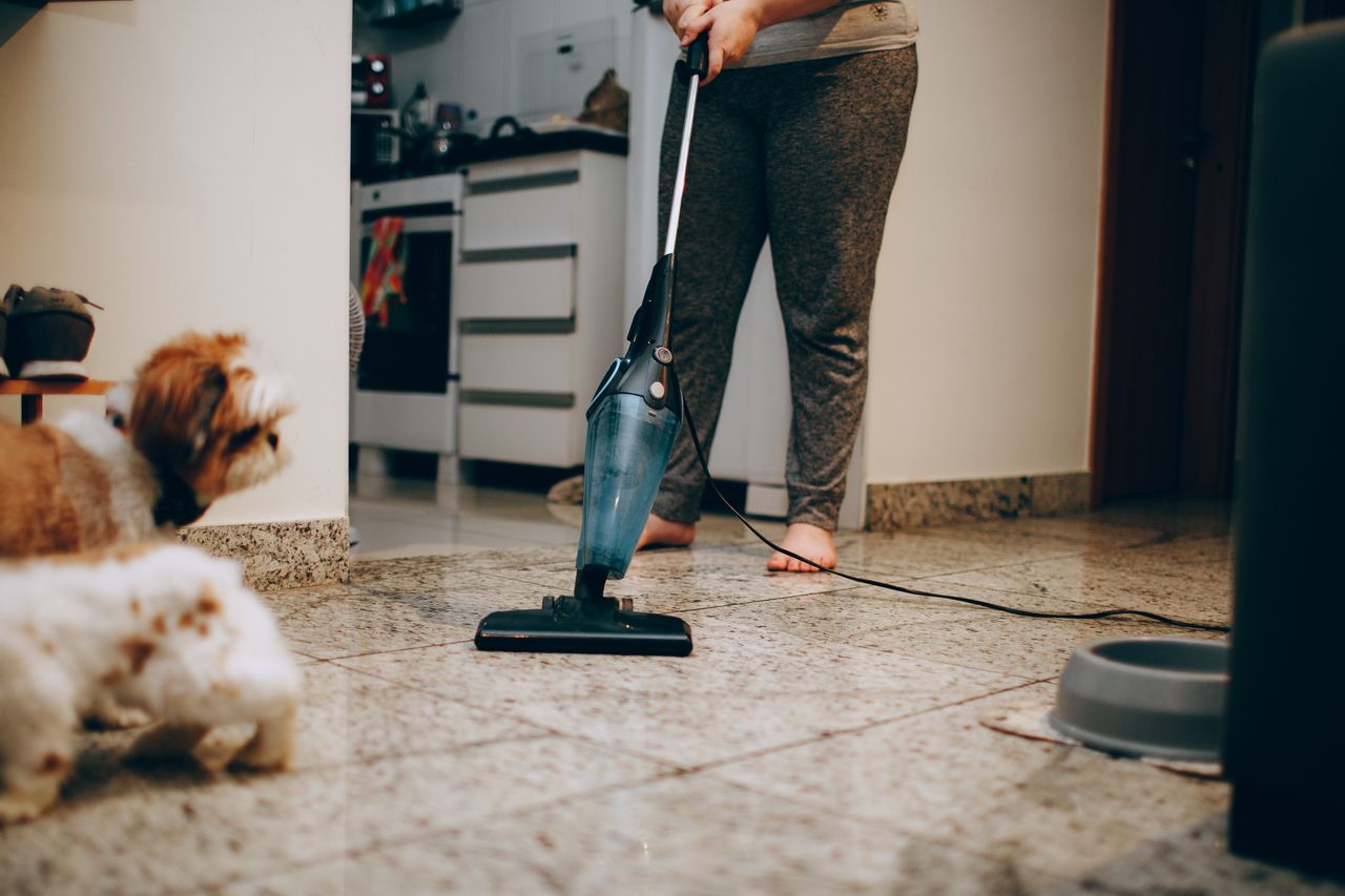 why-choose-us-03 A woman cleaning the floor with a vacuum cleaner while a dog watches attentively. Indoor home setting.